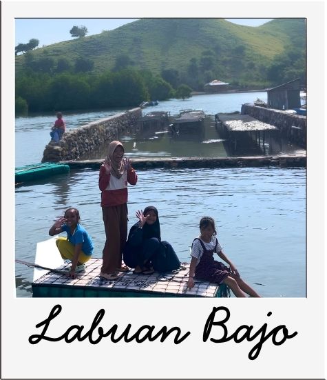 link to the page visit labuan bajo with back to the roots