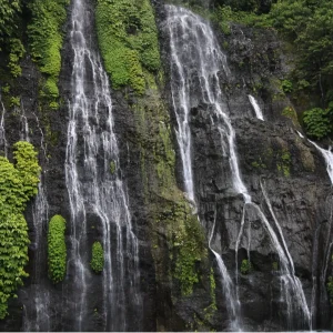 CONTENT-WEBSITE-13 (1)
