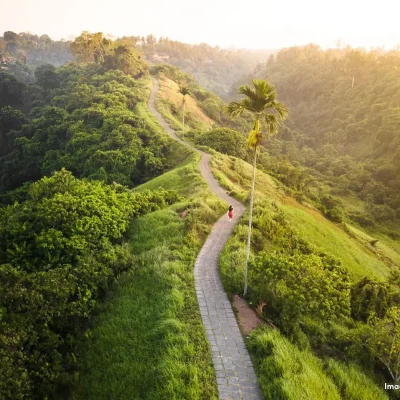 hiking campuhan ubud