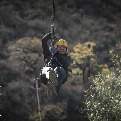 zipline-168019_1280